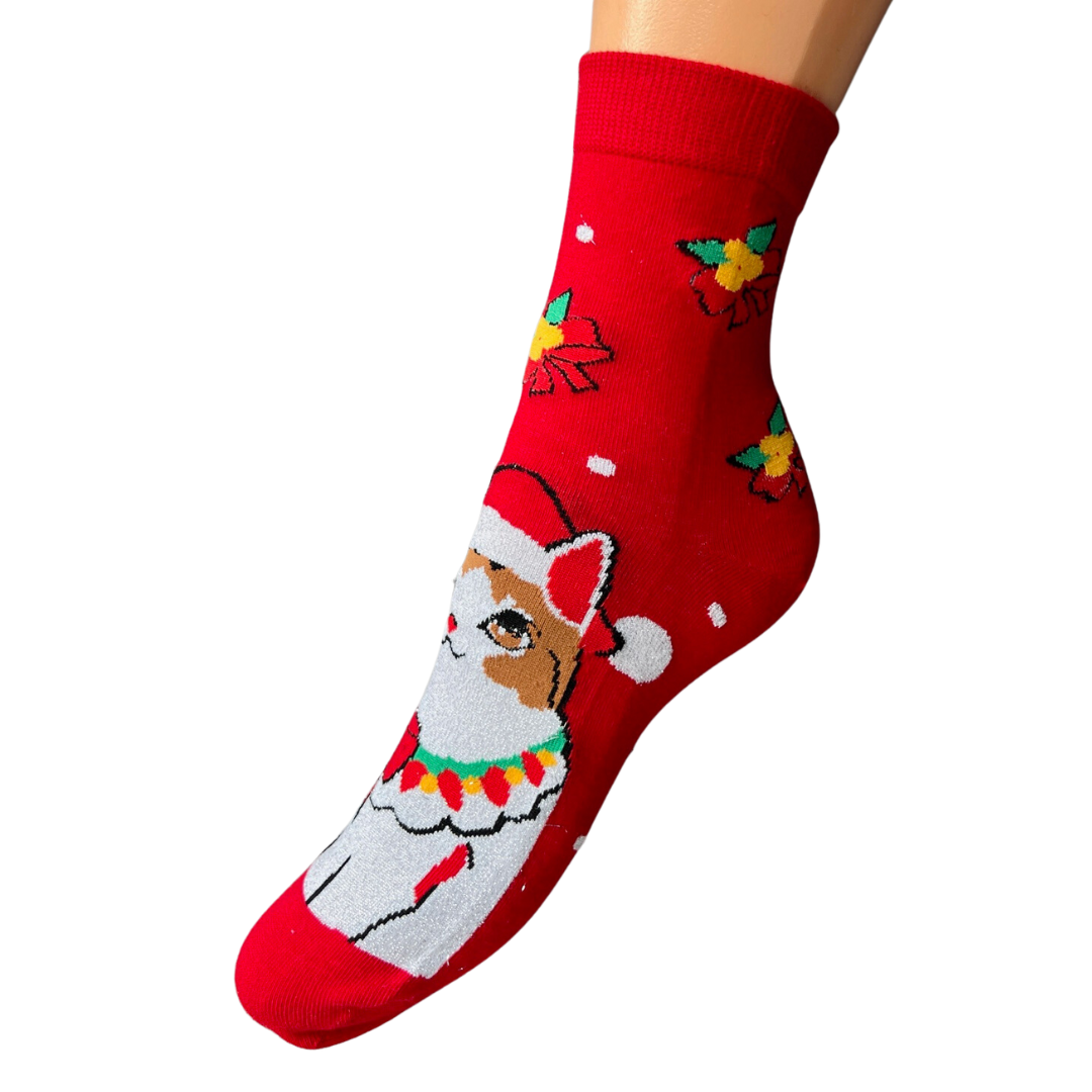 516dc2bfde165acd043237b1a9c5c4b9