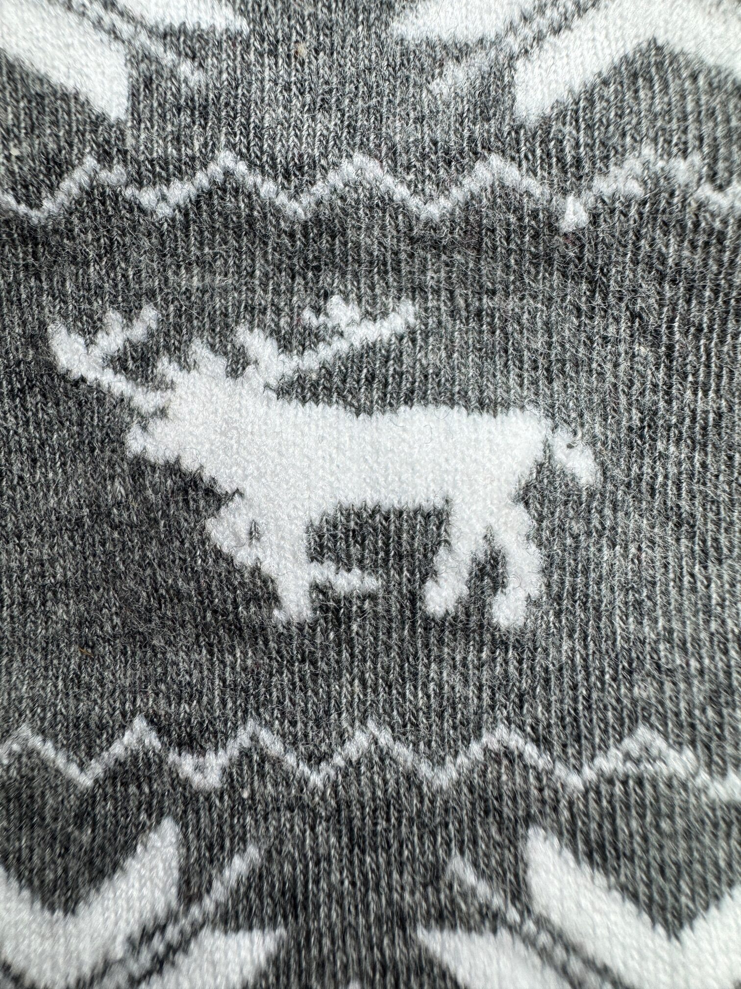 5d00eb0d518b06f4c288614124d29a75