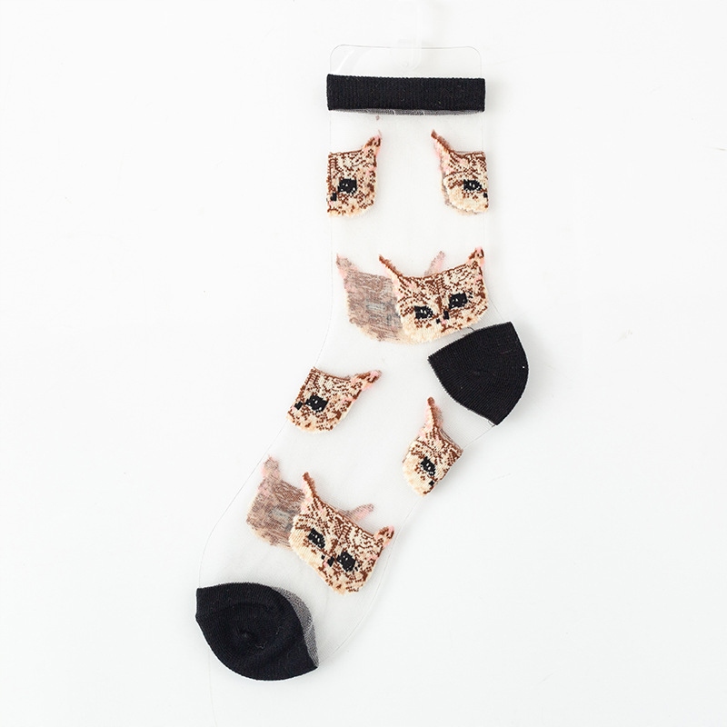 c3a5f86a2e0330239dda3f0fcf53fedc