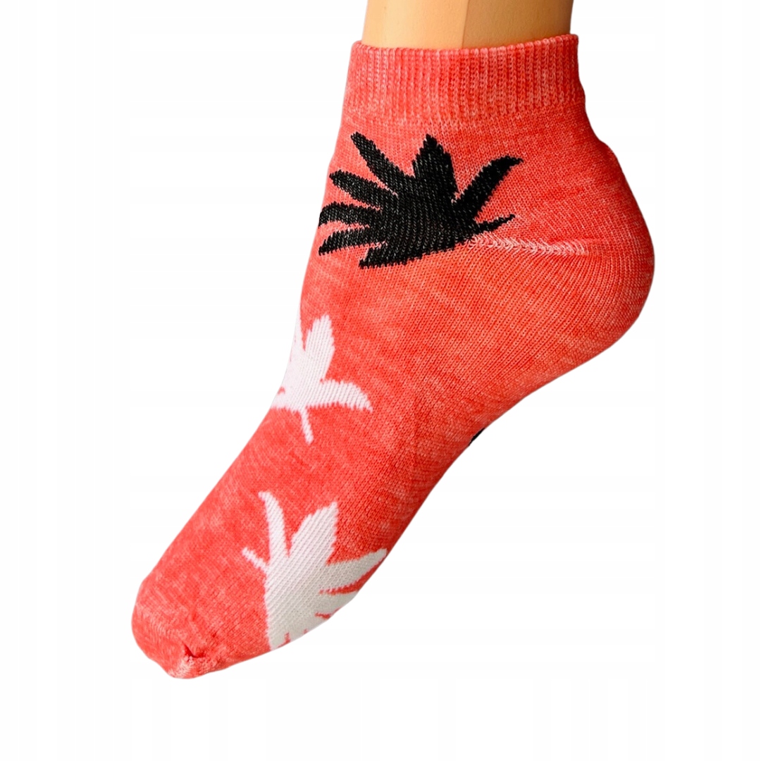 e7a488c4f8fcbc5e0aa9322707b72f3b