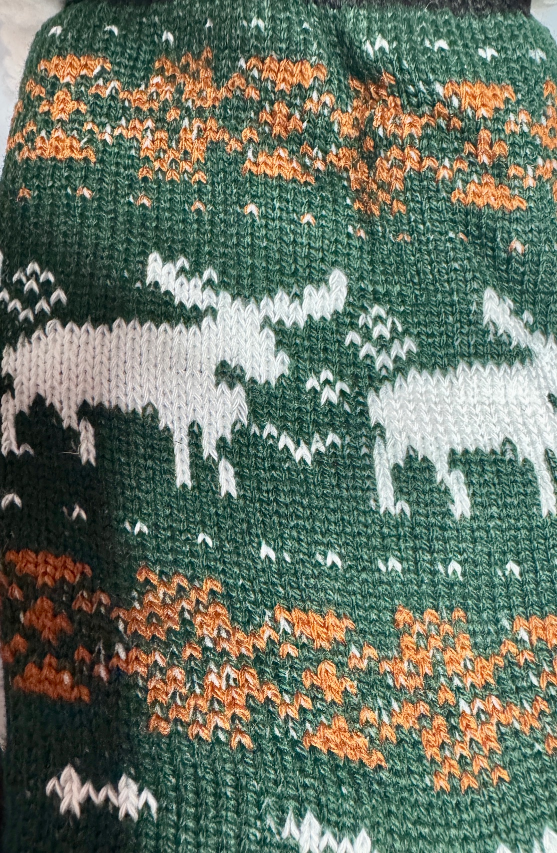 0f061ee8e489f9bdbc72b5347d3e4a28